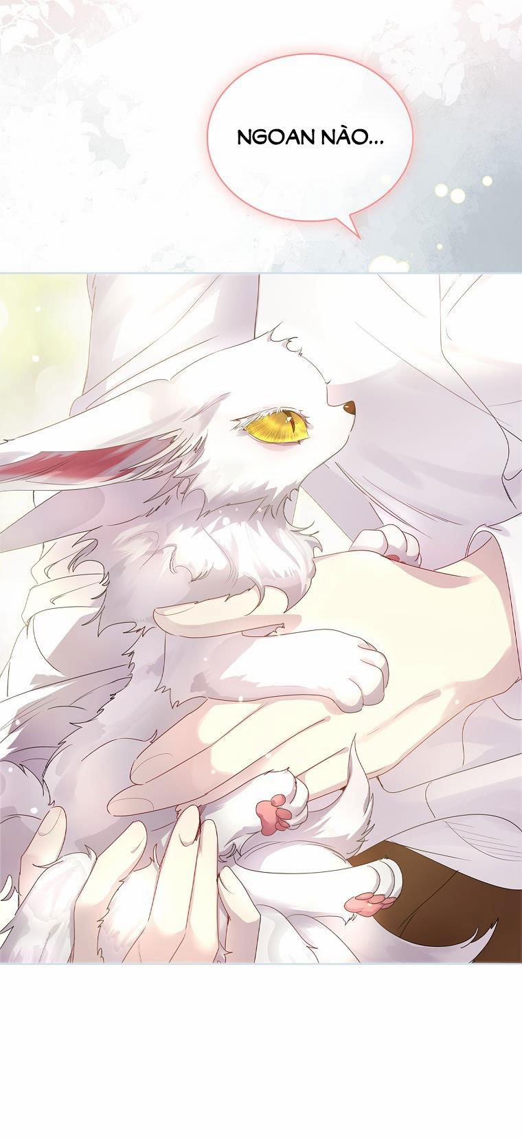 Tôi Đã Nuôi Hồ Ly Sai Cách Rồi 6.2 trang 18