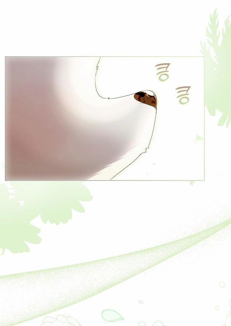 Tôi Đã Nuôi Hồ Ly Sai Cách Rồi 6.2 trang 19