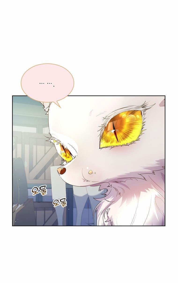 Tôi Đã Nuôi Hồ Ly Sai Cách Rồi 7.1 trang 20