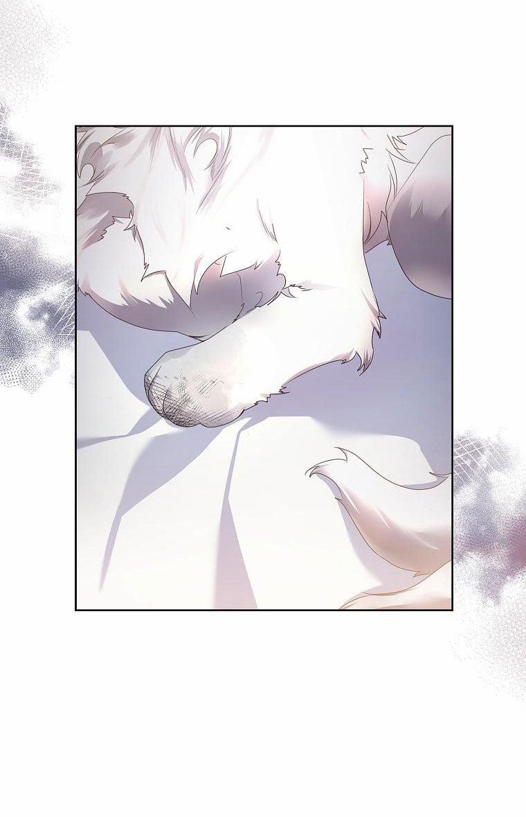 Tôi Đã Nuôi Hồ Ly Sai Cách Rồi 8.1 trang 25