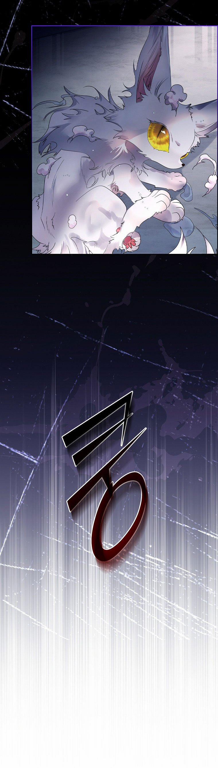 Tôi Đã Nuôi Hồ Ly Sai Cách Rồi 9.1 trang 13