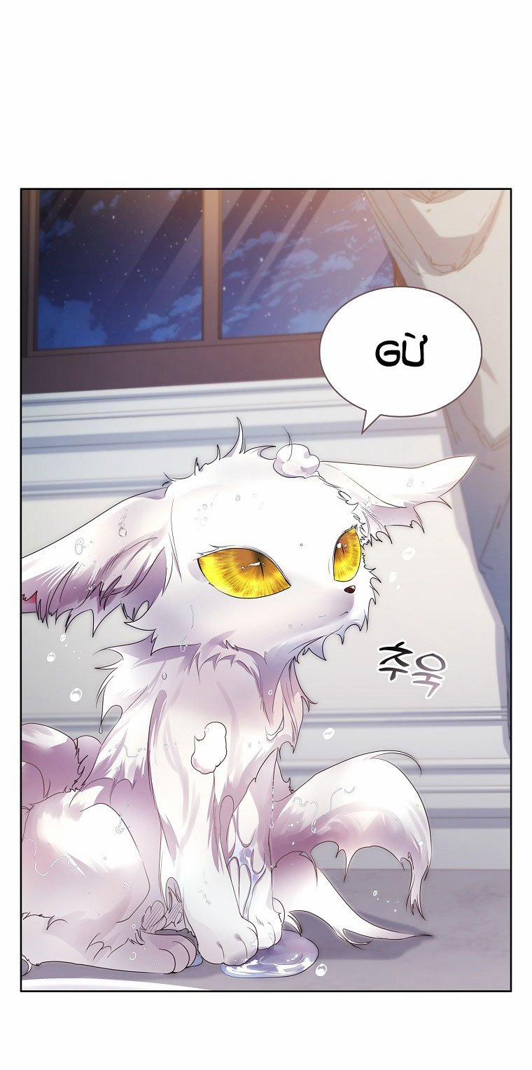 Tôi Đã Nuôi Hồ Ly Sai Cách Rồi 9.1 trang 19