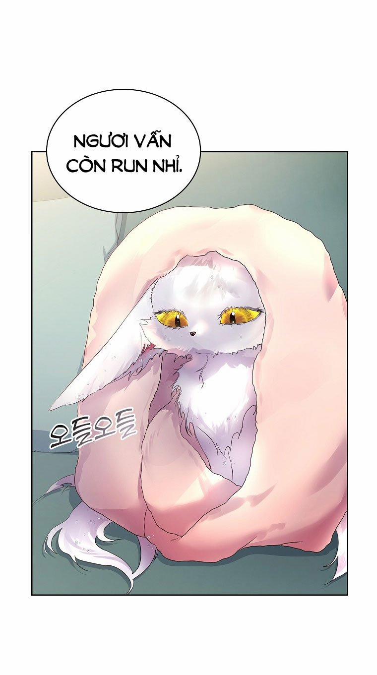 Tôi Đã Nuôi Hồ Ly Sai Cách Rồi 9.1 trang 23