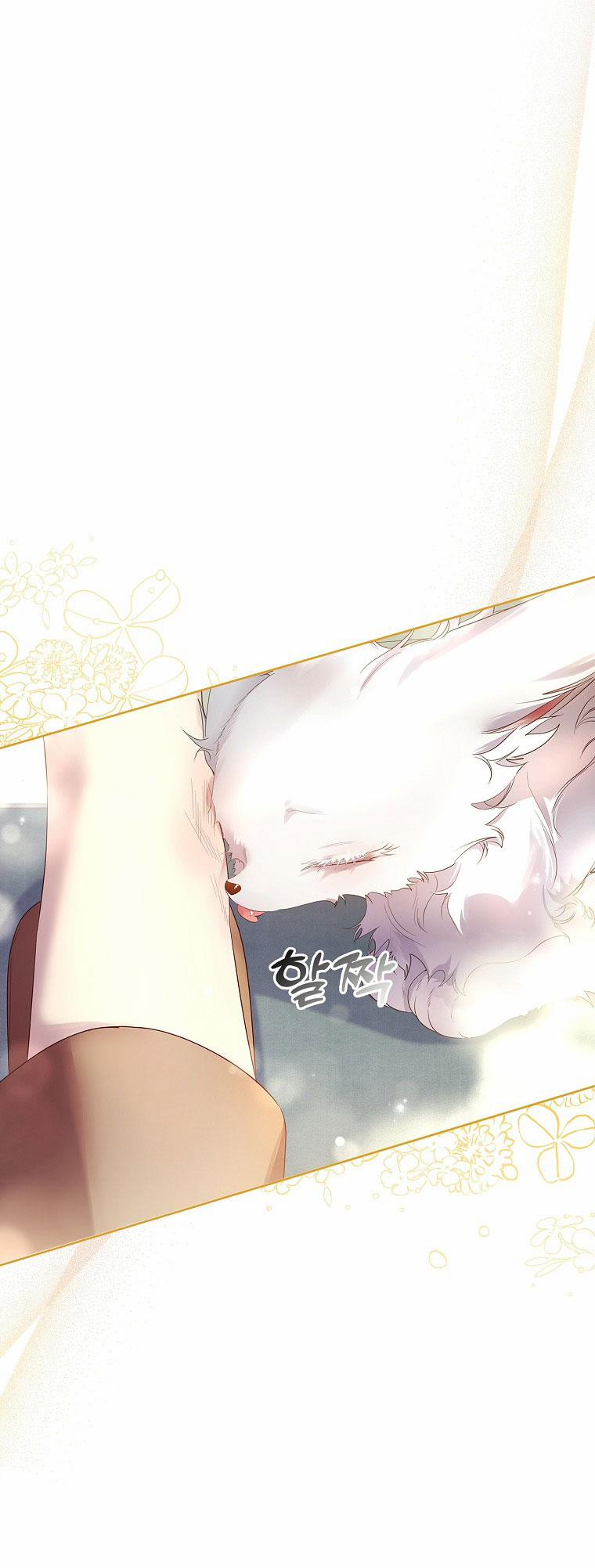 Tôi Đã Nuôi Hồ Ly Sai Cách Rồi 9.2 trang 5