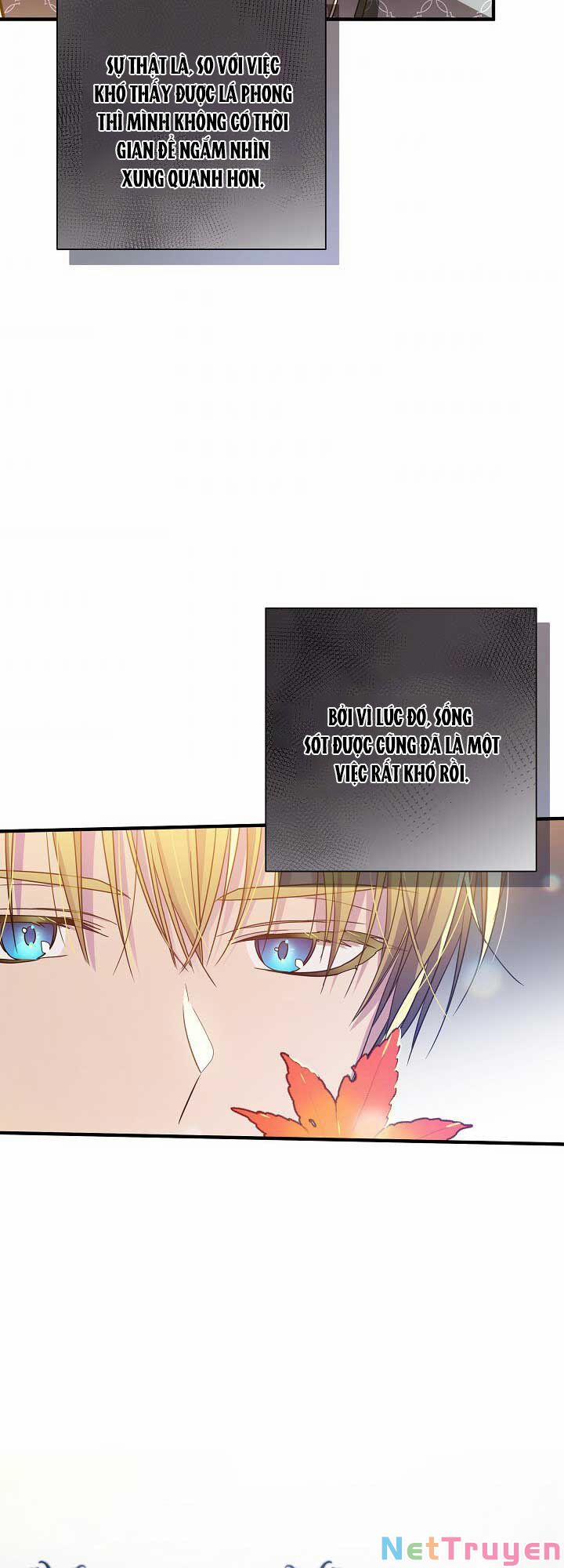 Tôi Đã Ở Đây Ngay Từ Đầu 37 trang 33