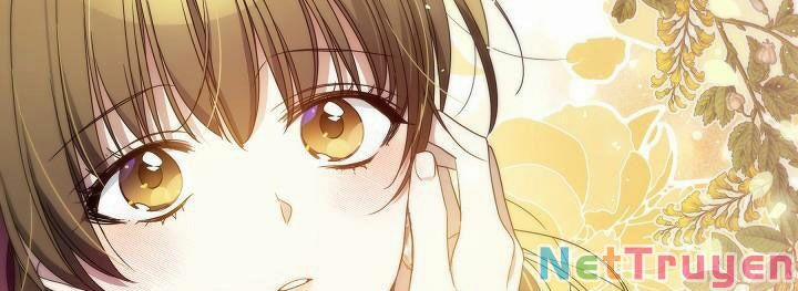 Tôi Đã Ở Đây Ngay Từ Đầu 46 trang 34