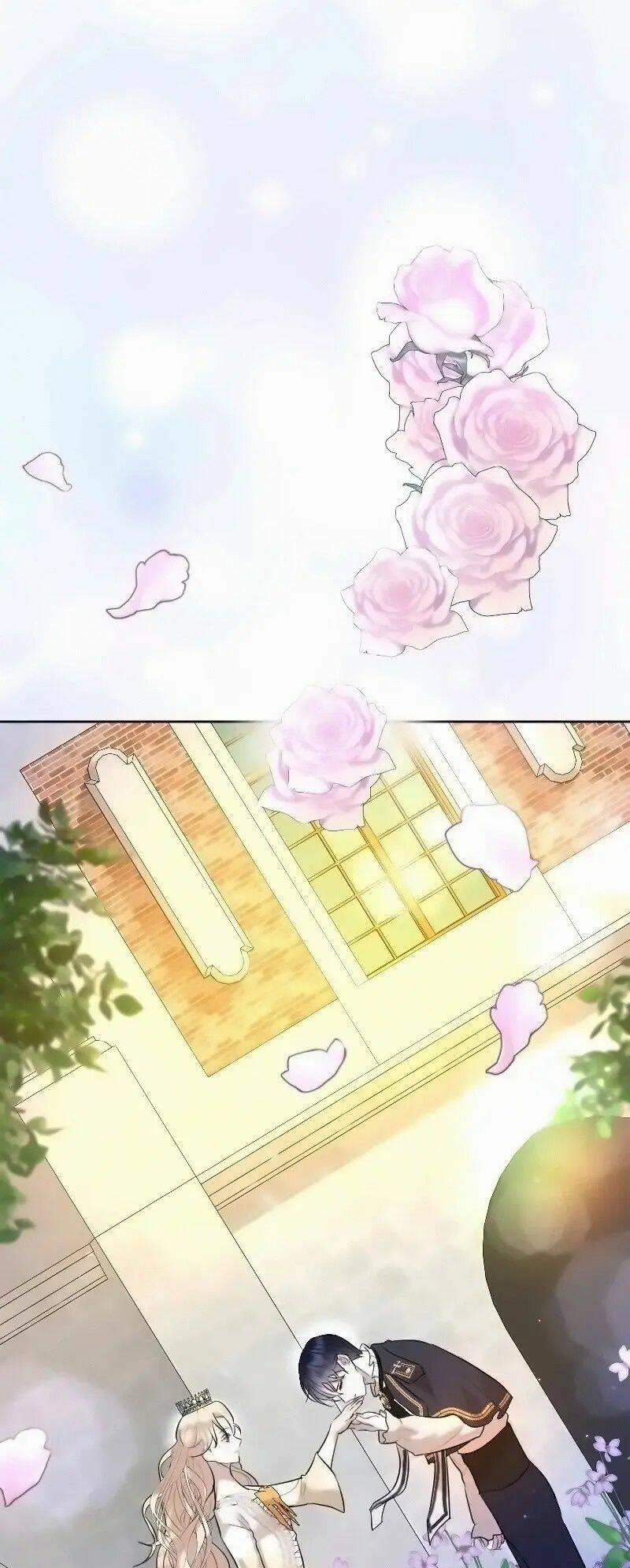 Tôi Đã Phá Vỡ Cuộc Hôn Nhân Chính Trị 14 trang 20