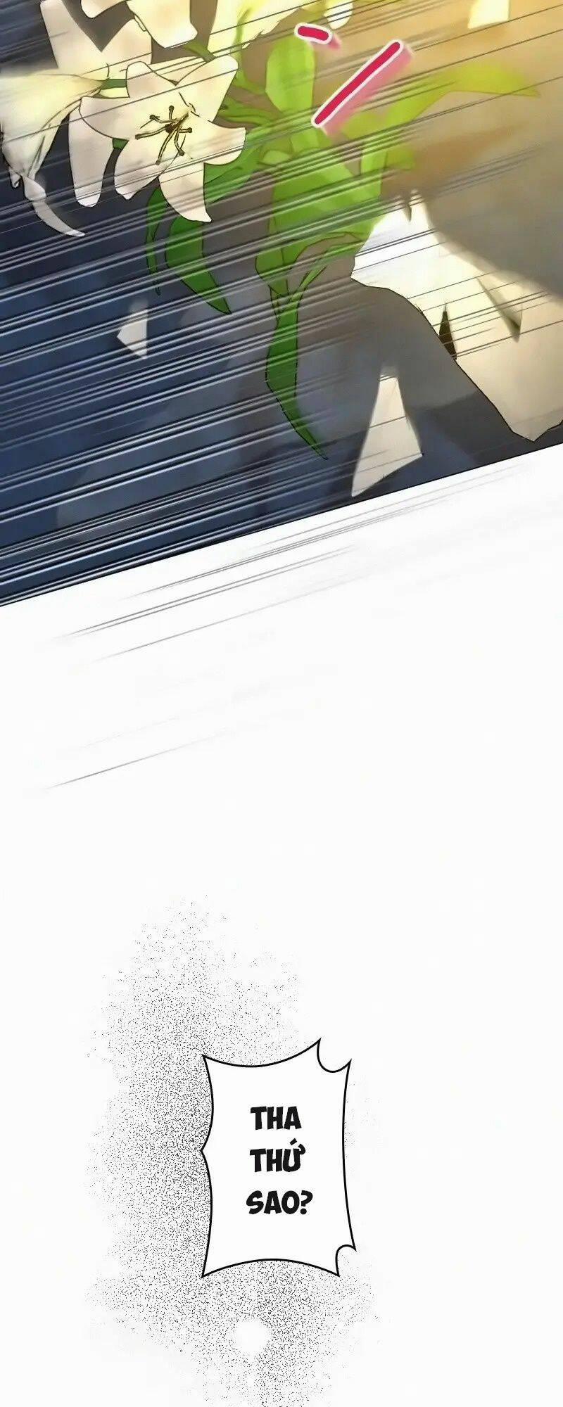 Tôi Đã Phá Vỡ Cuộc Hôn Nhân Chính Trị 14 trang 25