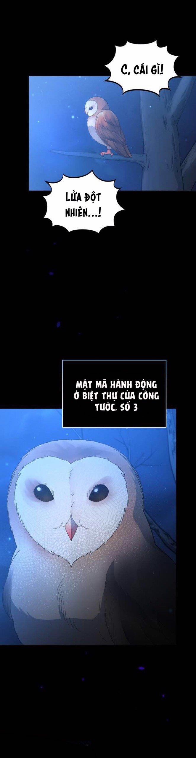 Tôi Đã Quyến Rũ Tên Công Tước Xảo Trá 17.2 trang 19