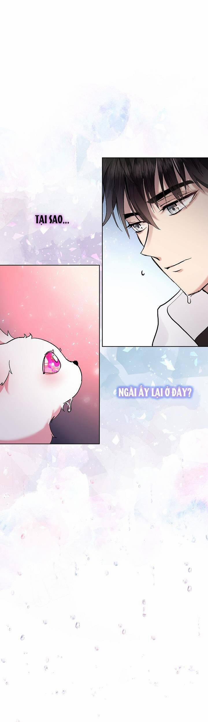 Tôi Đã Tái Sinh Thành Bé Cáo Của Thần 10 trang 12