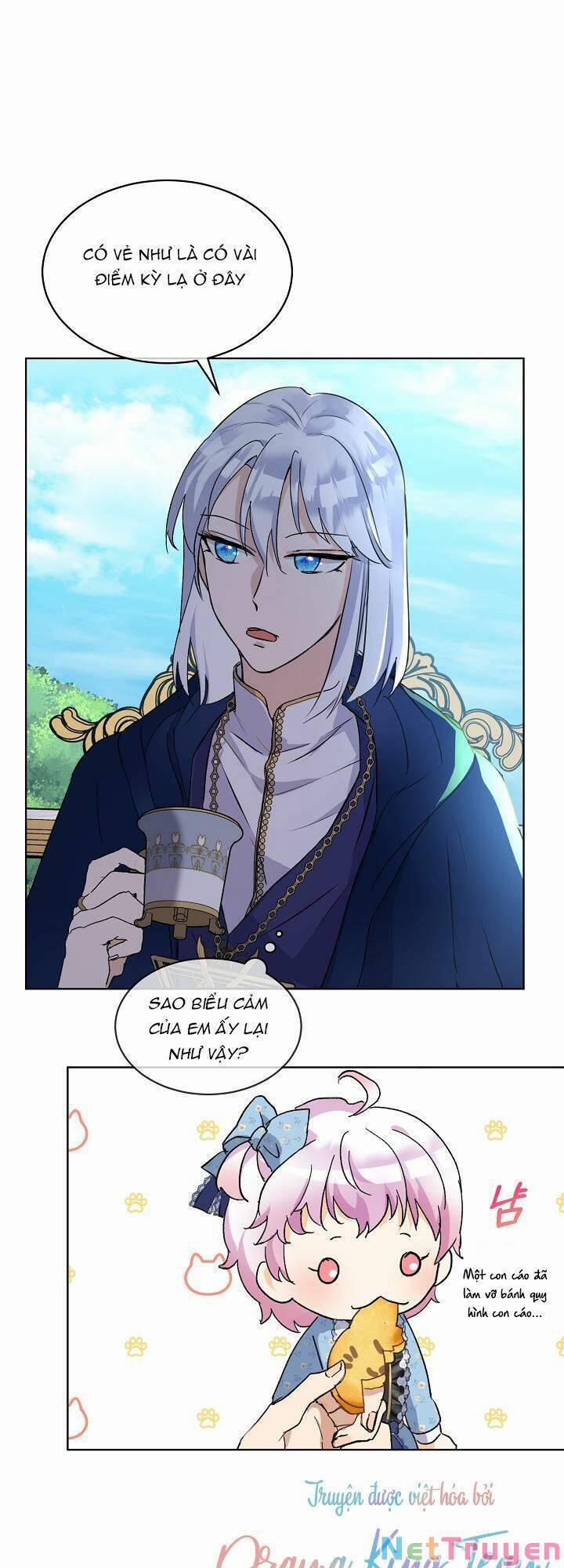 Tôi Đã Tái Sinh Thành Bé Cáo Của Thần 11 trang 10