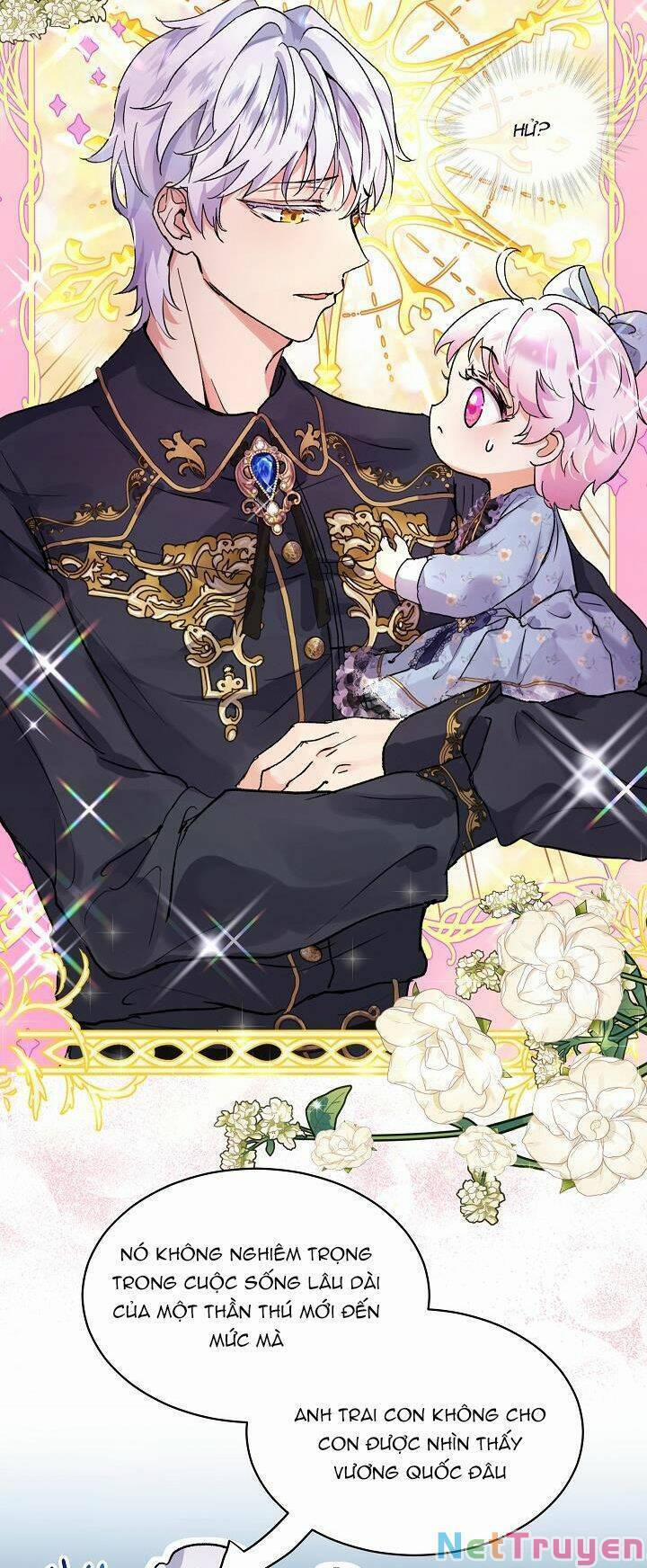 Tôi Đã Tái Sinh Thành Bé Cáo Của Thần 11 trang 23