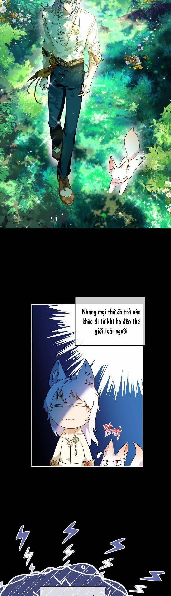 Tôi Đã Tái Sinh Thành Bé Cáo Của Thần 16 trang 1