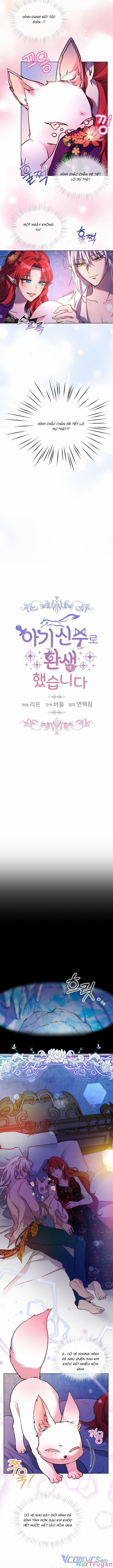 Tôi Đã Tái Sinh Thành Bé Cáo Của Thần 2 trang 1