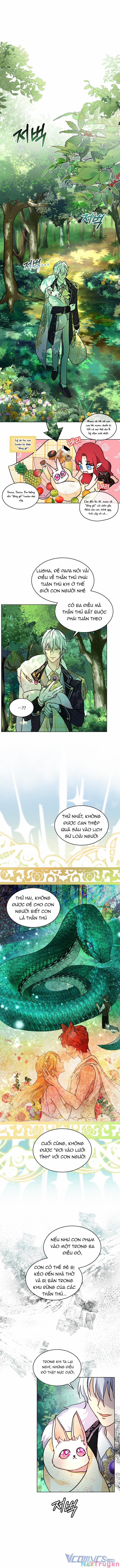 Tôi Đã Tái Sinh Thành Bé Cáo Của Thần 2 trang 6