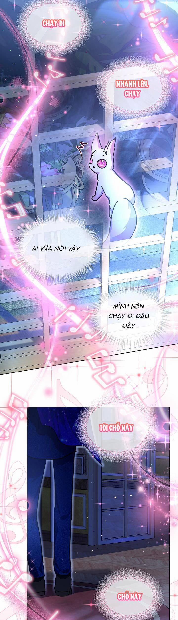 Tôi Đã Tái Sinh Thành Bé Cáo Của Thần 21 trang 13