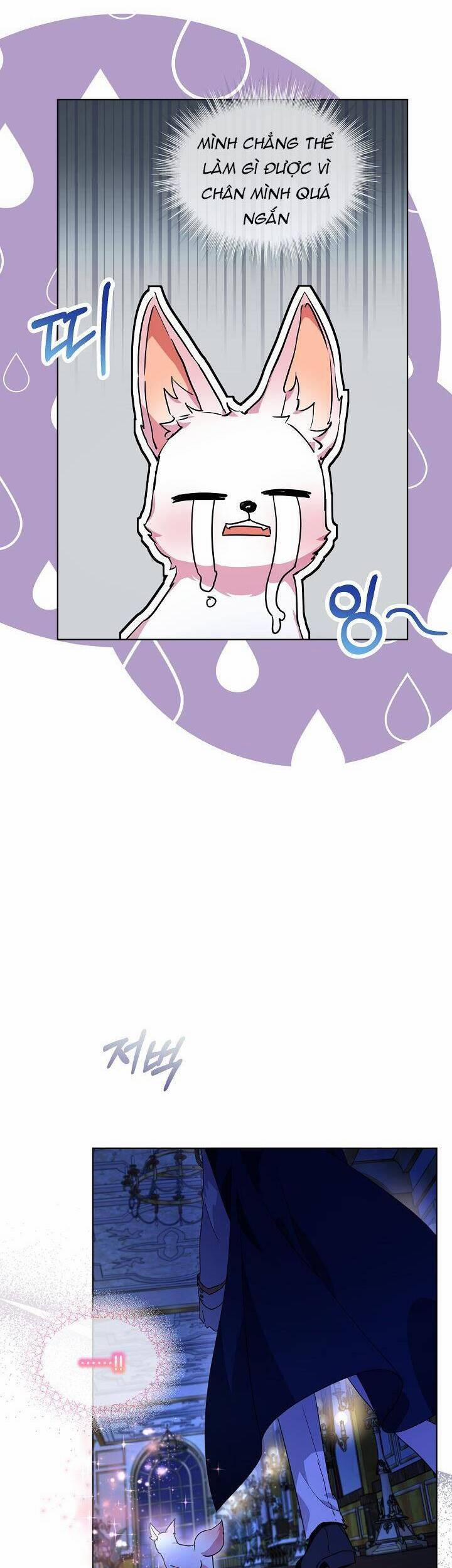 Tôi Đã Tái Sinh Thành Bé Cáo Của Thần 21 trang 18