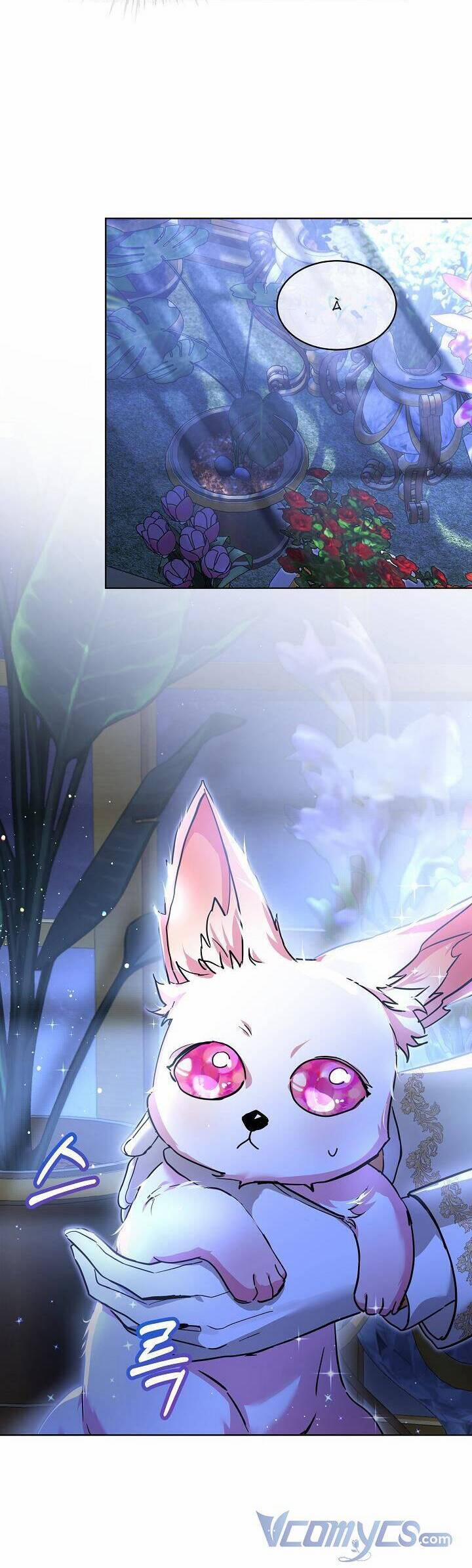 Tôi Đã Tái Sinh Thành Bé Cáo Của Thần 21 trang 4