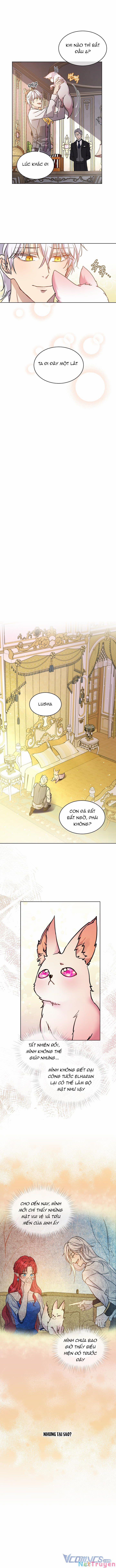 Tôi Đã Tái Sinh Thành Bé Cáo Của Thần 3 trang 5