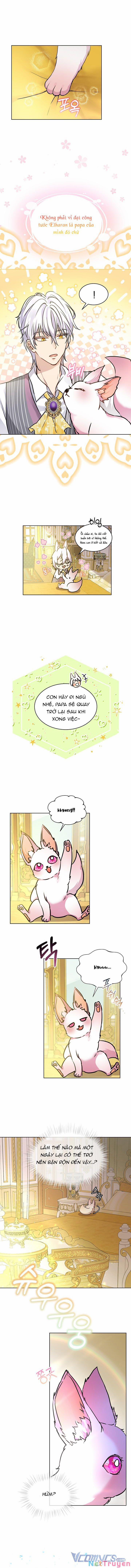 Tôi Đã Tái Sinh Thành Bé Cáo Của Thần 3 trang 6