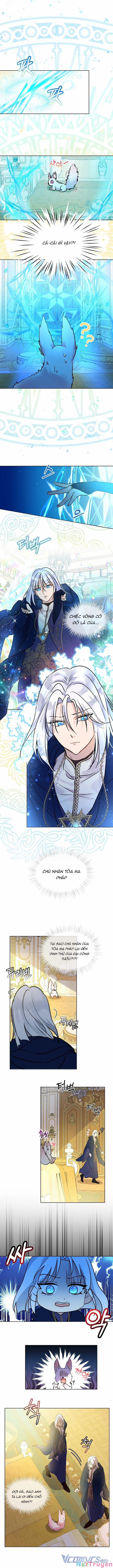 Tôi Đã Tái Sinh Thành Bé Cáo Của Thần 3 trang 7