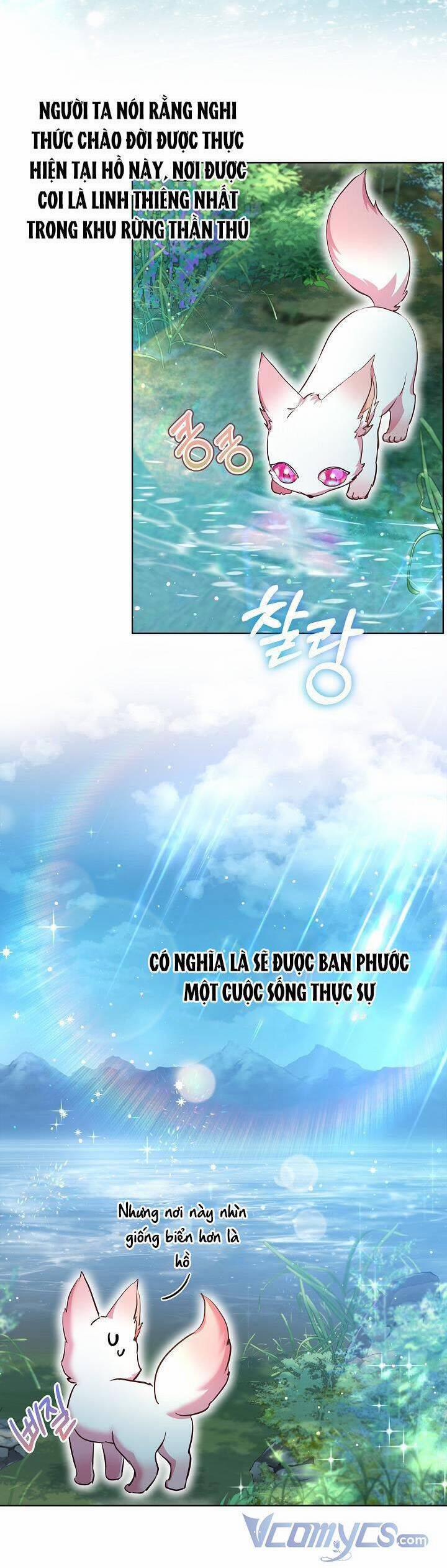 Tôi Đã Tái Sinh Thành Bé Cáo Của Thần 30 trang 18