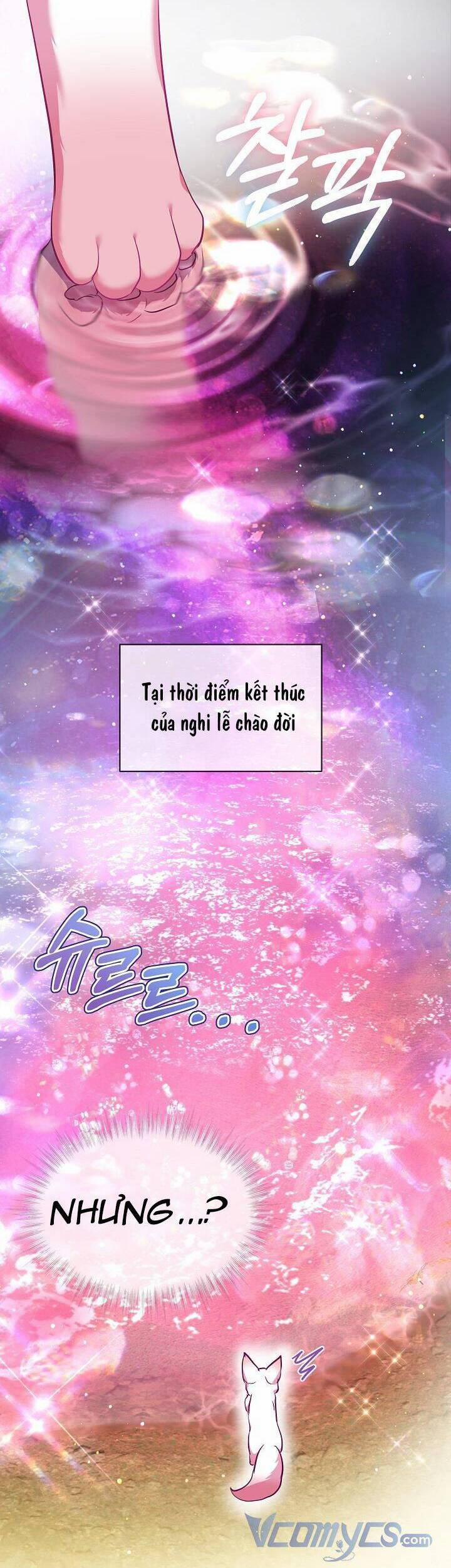 Tôi Đã Tái Sinh Thành Bé Cáo Của Thần 30 trang 34