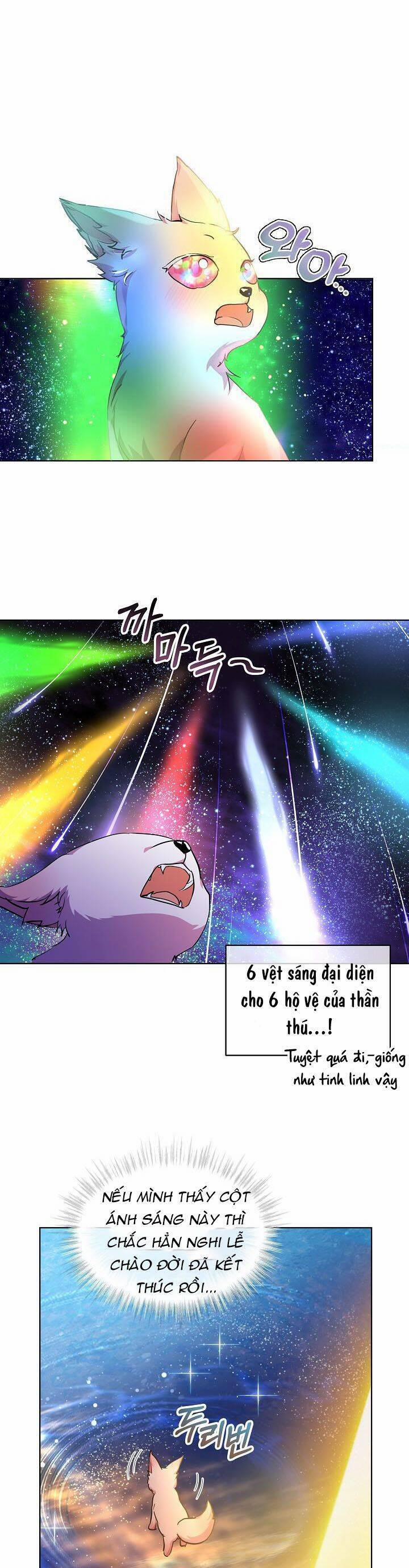 Tôi Đã Tái Sinh Thành Bé Cáo Của Thần 31 trang 12