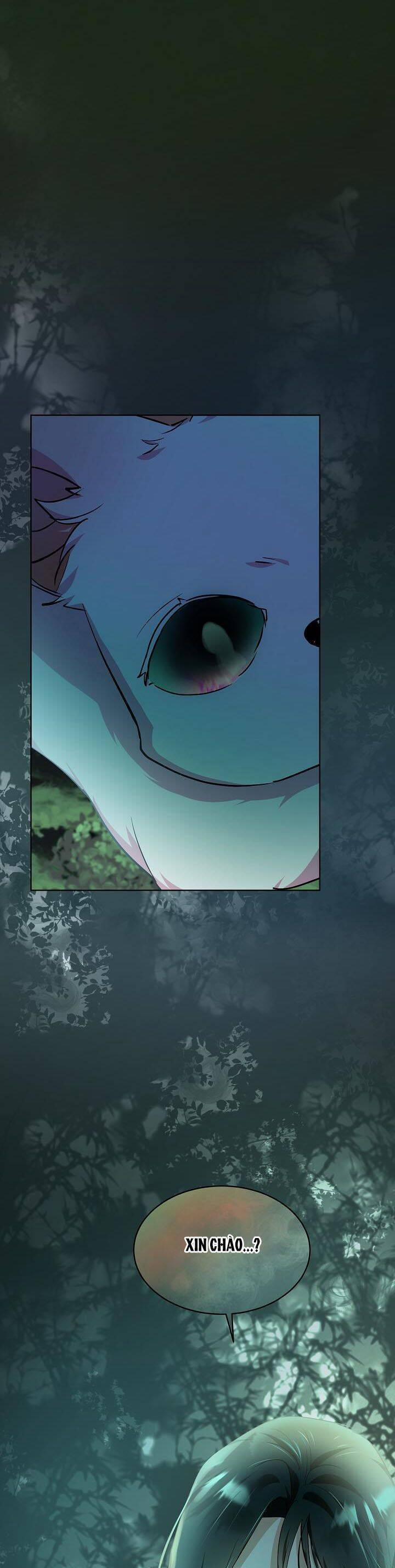 Tôi Đã Tái Sinh Thành Bé Cáo Của Thần 32 trang 41