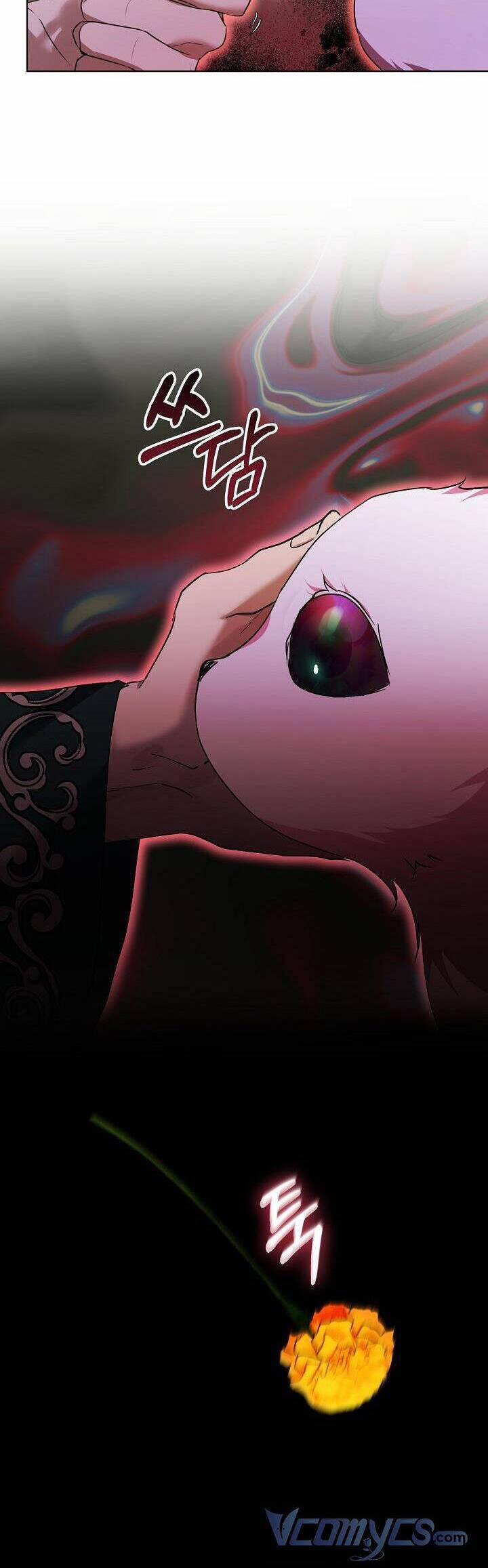 Tôi Đã Tái Sinh Thành Bé Cáo Của Thần 33 trang 16