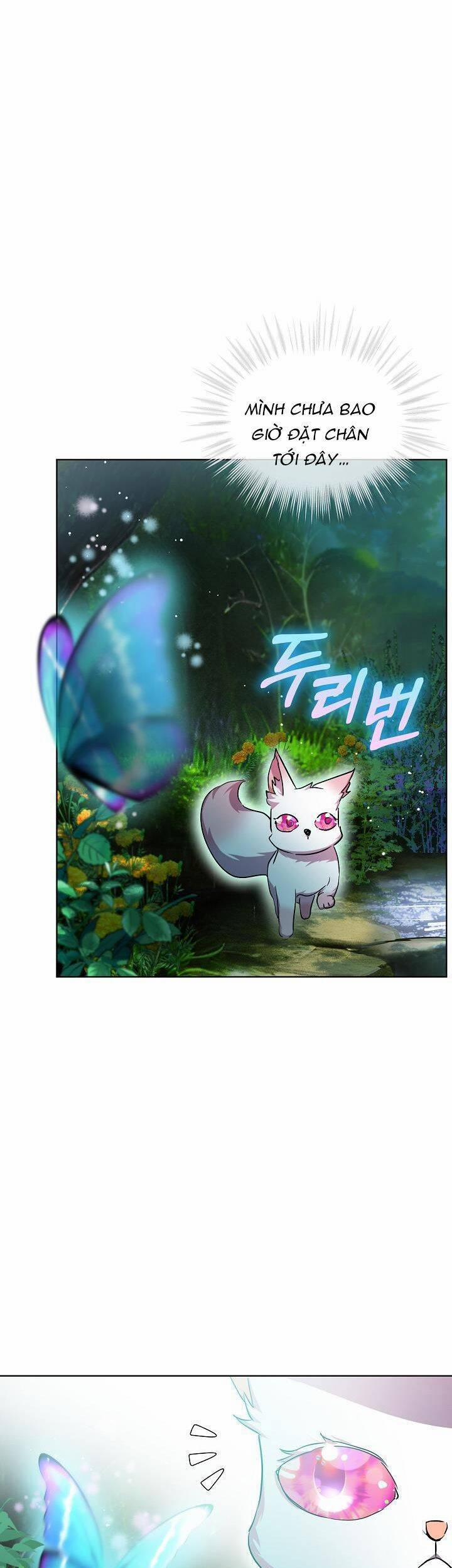 Tôi Đã Tái Sinh Thành Bé Cáo Của Thần 33 trang 5