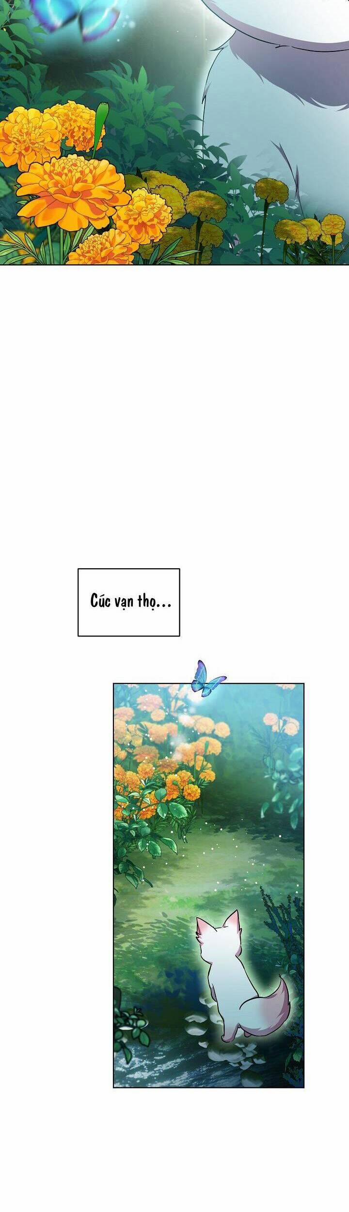 Tôi Đã Tái Sinh Thành Bé Cáo Của Thần 33 trang 6