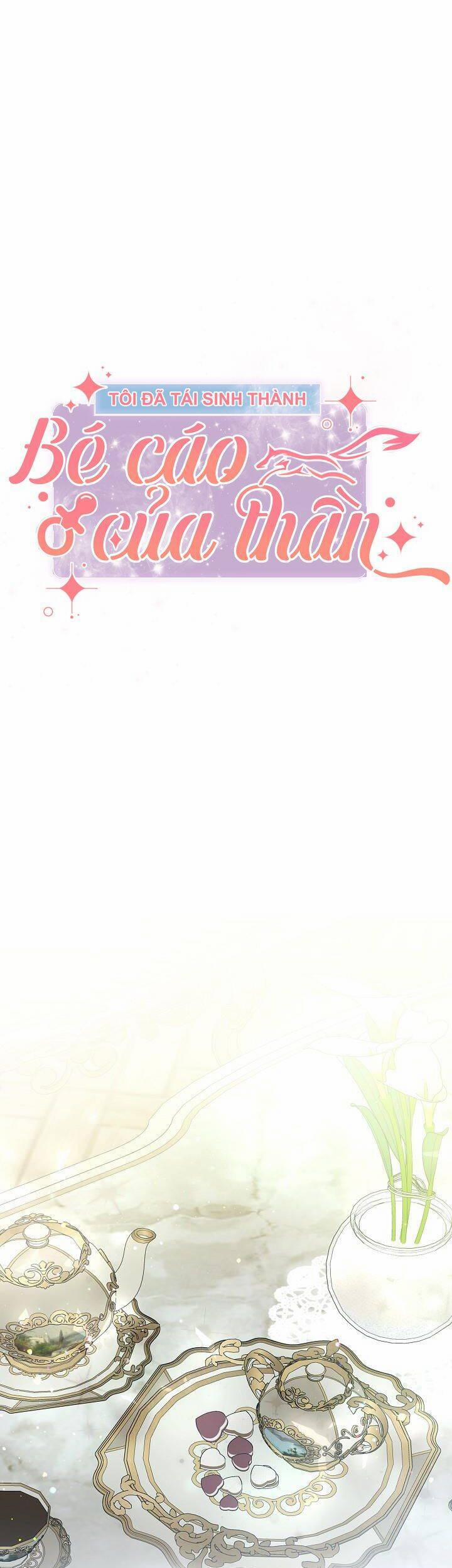 Tôi Đã Tái Sinh Thành Bé Cáo Của Thần 39 trang 14