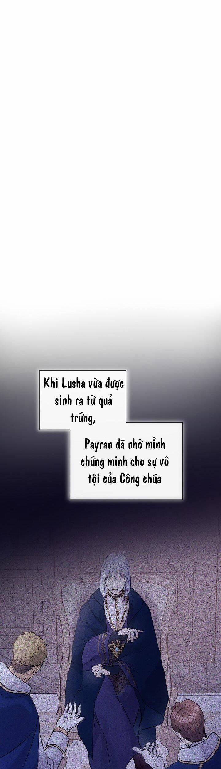 Tôi Đã Tái Sinh Thành Bé Cáo Của Thần 39 trang 21