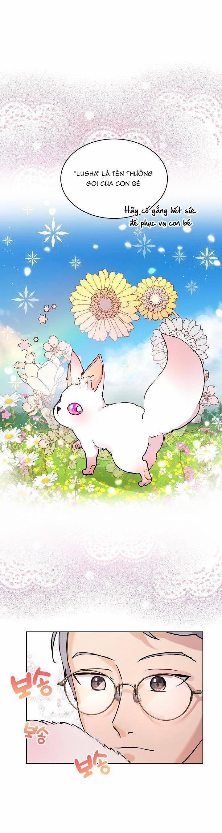 Tôi Đã Tái Sinh Thành Bé Cáo Của Thần 4 trang 8