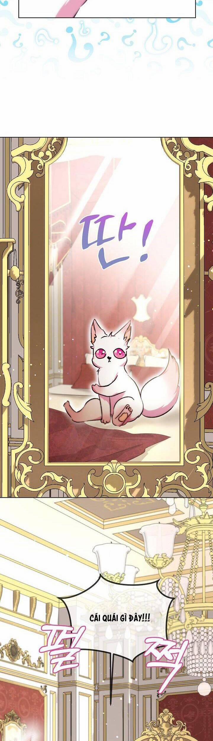 Tôi Đã Tái Sinh Thành Bé Cáo Của Thần 40 trang 20