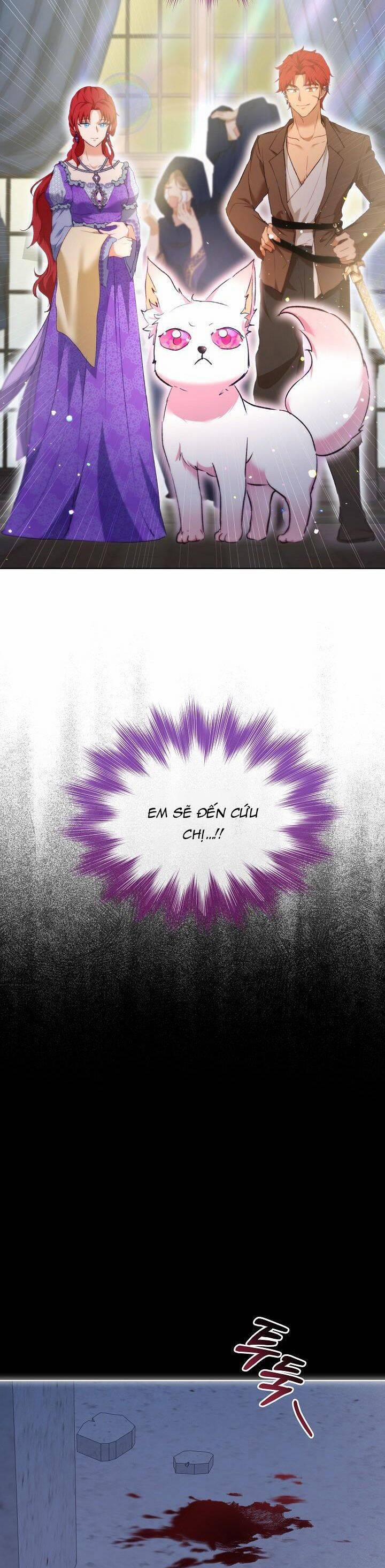 Tôi Đã Tái Sinh Thành Bé Cáo Của Thần 41 trang 23