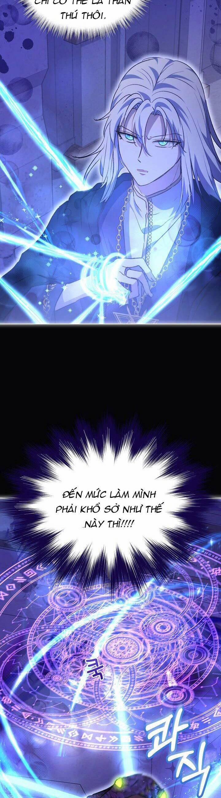 Tôi Đã Tái Sinh Thành Bé Cáo Của Thần 41 trang 28