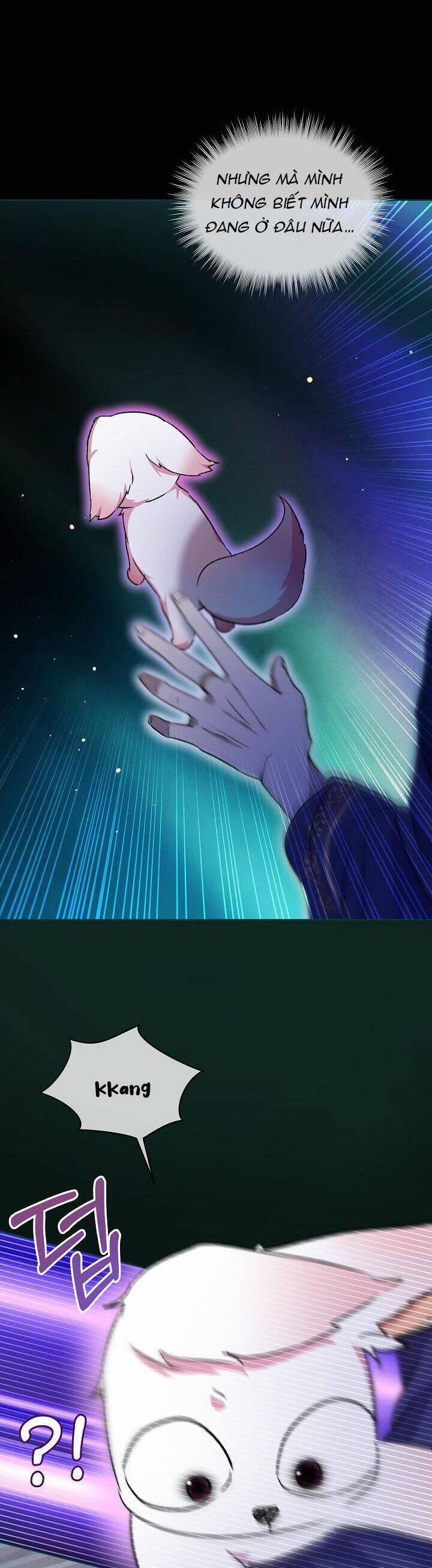 Tôi Đã Tái Sinh Thành Bé Cáo Của Thần 42 trang 17