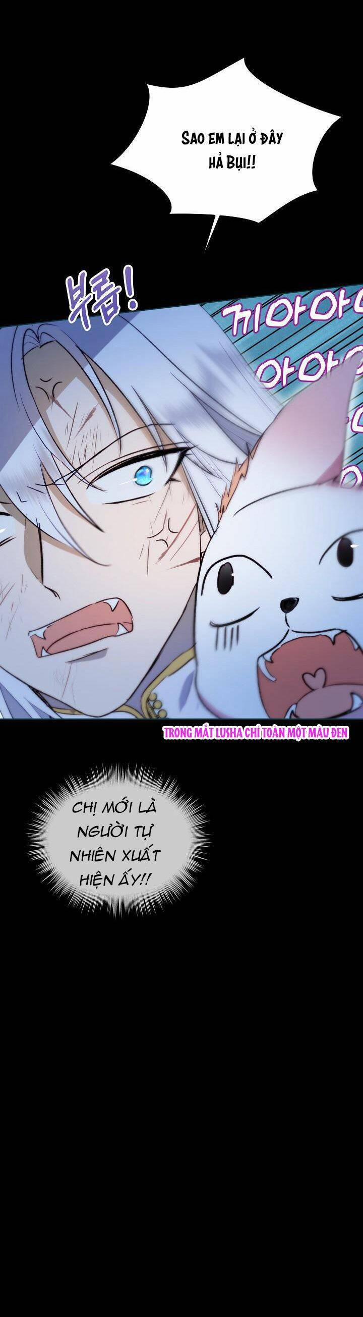 Tôi Đã Tái Sinh Thành Bé Cáo Của Thần 42 trang 19