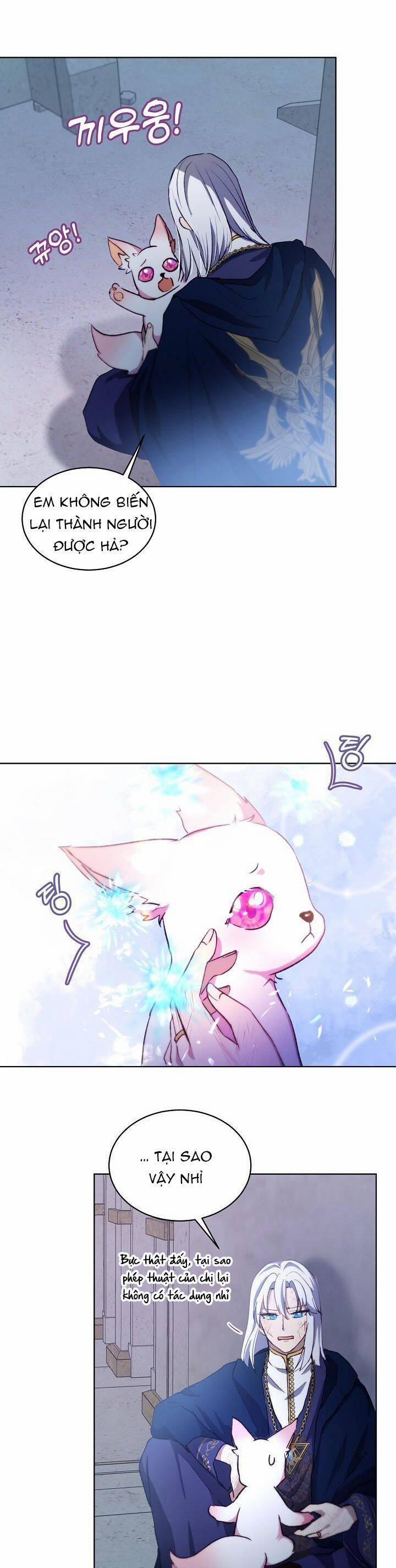 Tôi Đã Tái Sinh Thành Bé Cáo Của Thần 42 trang 23