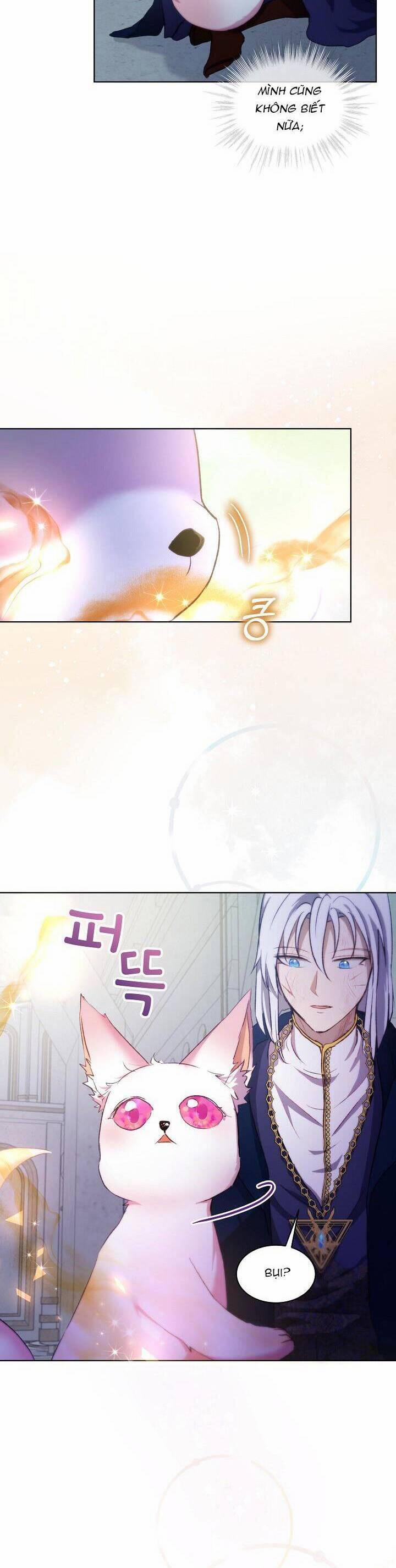 Tôi Đã Tái Sinh Thành Bé Cáo Của Thần 42 trang 24