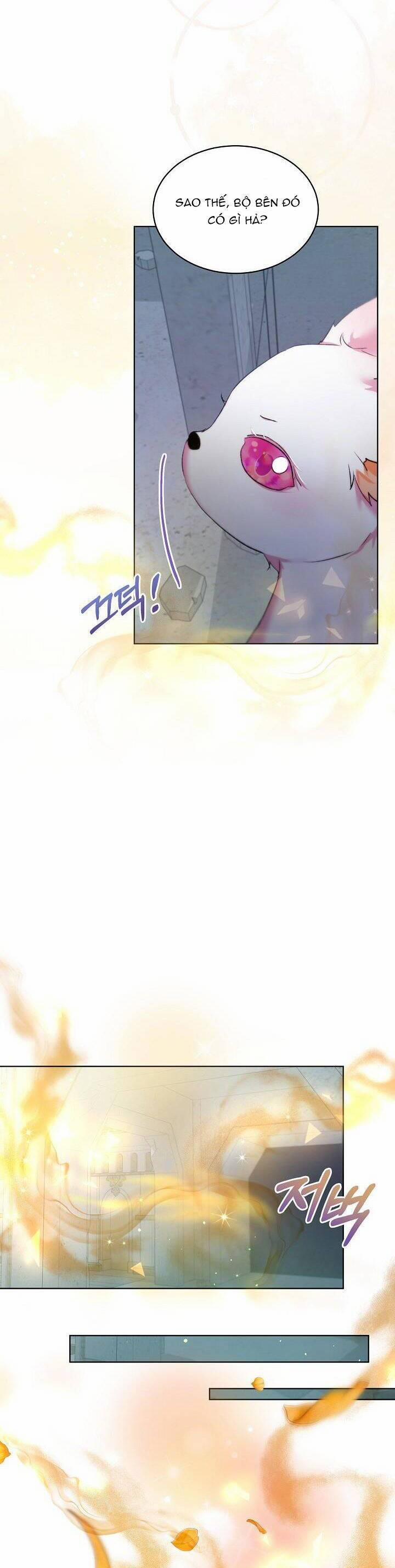 Tôi Đã Tái Sinh Thành Bé Cáo Của Thần 42 trang 25