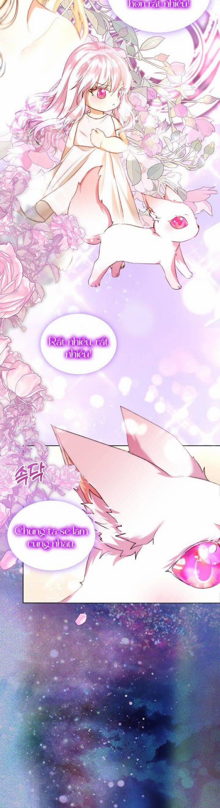 Tôi Đã Tái Sinh Thành Bé Cáo Của Thần 43 trang 19