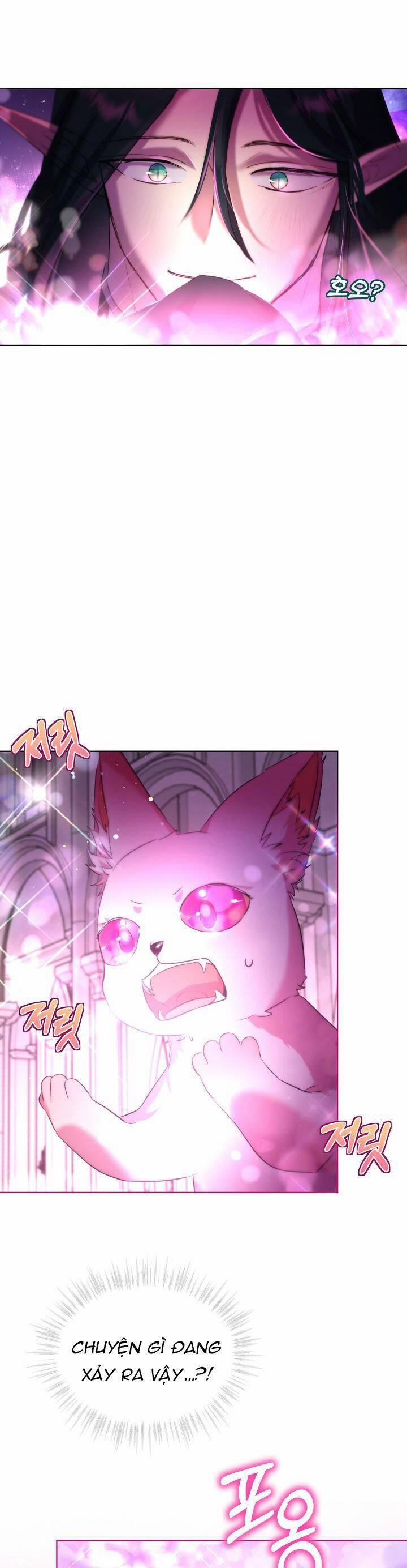 Tôi Đã Tái Sinh Thành Bé Cáo Của Thần 43 trang 22