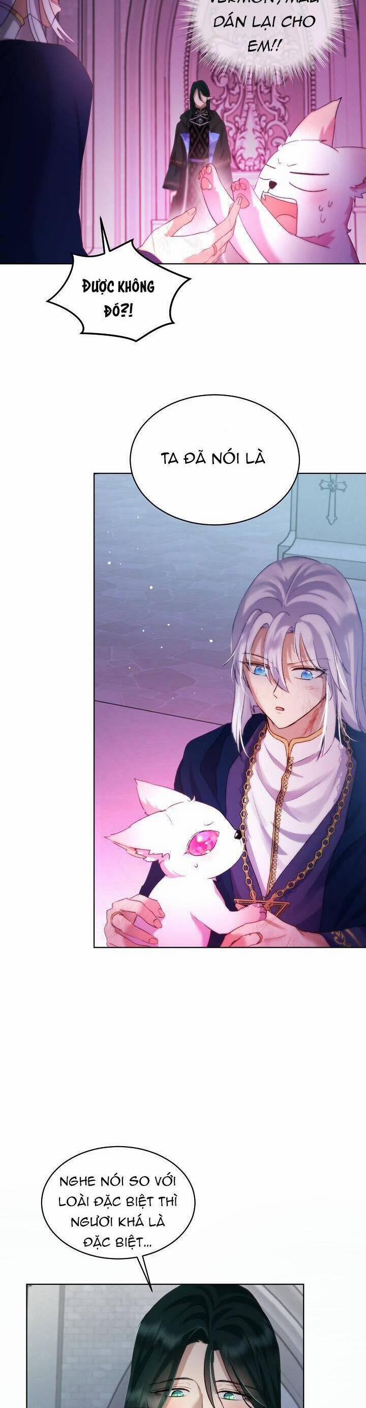 Tôi Đã Tái Sinh Thành Bé Cáo Của Thần 43 trang 24