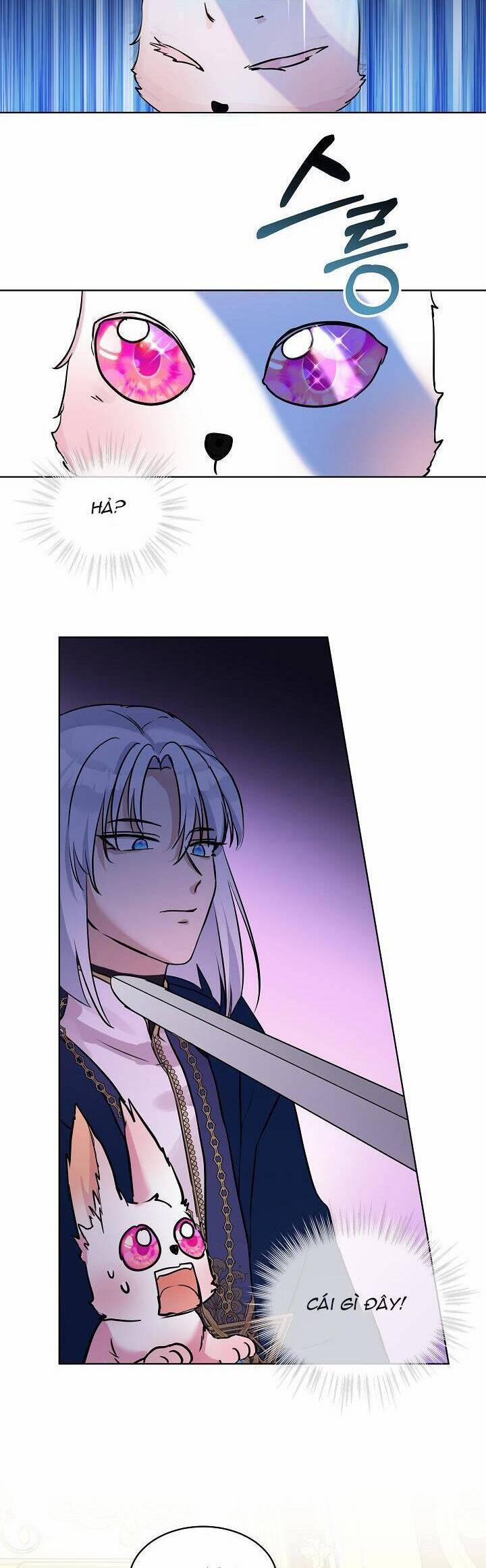 Tôi Đã Tái Sinh Thành Bé Cáo Của Thần 5 trang 17