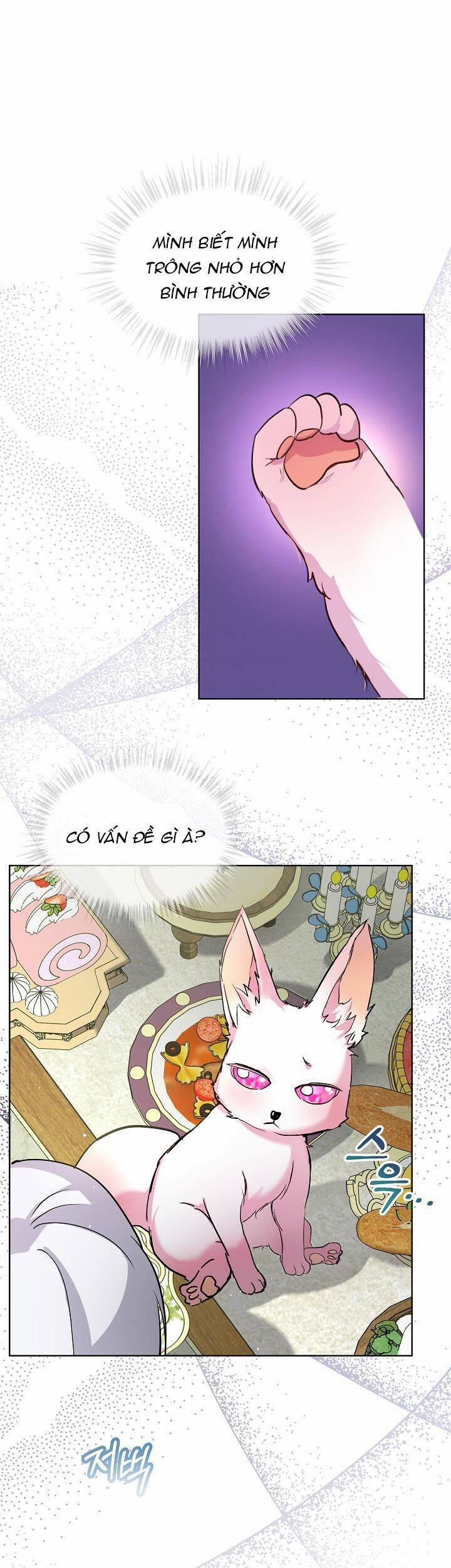 Tôi Đã Tái Sinh Thành Bé Cáo Của Thần 7 trang 4