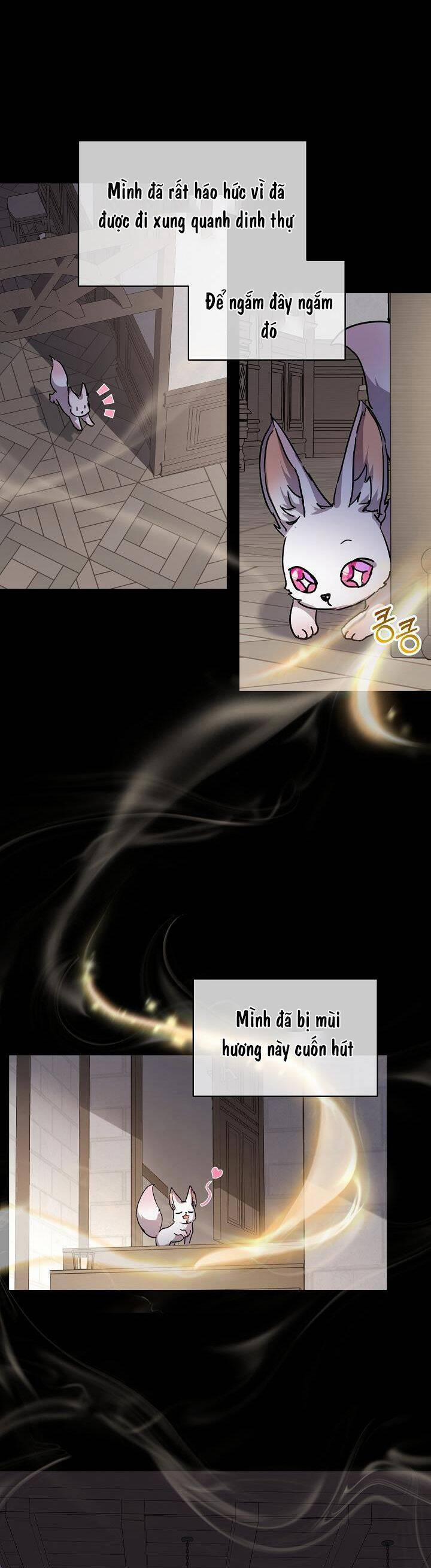 Tôi Đã Tái Sinh Thành Bé Cáo Của Thần 8 trang 4