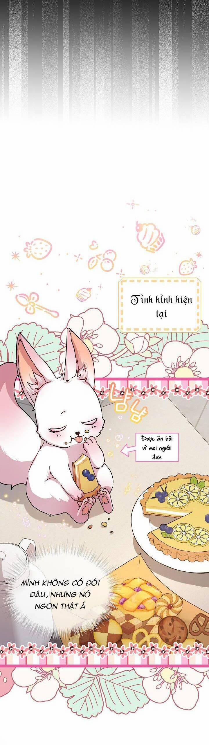 Tôi Đã Tái Sinh Thành Bé Cáo Của Thần 8 trang 9